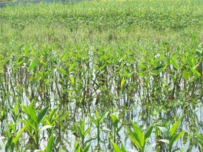 深圳水質檢測機構 深圳水質檢測機構